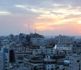 برج فلسطين (4)