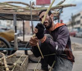 بائع القصب (5)