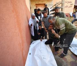 طوفان الاقصى (12)
