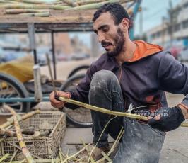 بائع القصب (3)