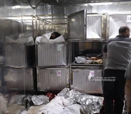 شهداء فى مشفى الشفاء (3)