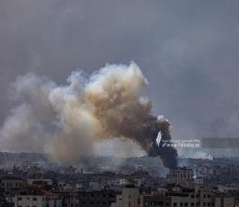 حدود غزة (4)