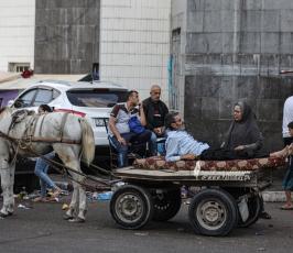 الحياة اليومية فى شوارع مدينة غزة فى ظل استمرار العدوان الصهيونى علي القطاع (10)