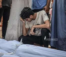 طوفان الأقصى (24)