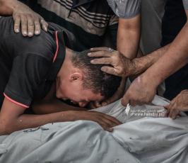 طوفان الأقصى (16)
