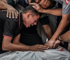 طوفان الأقصى (15)