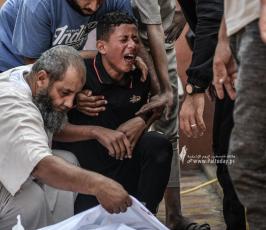 طوفان الأقصى (11)