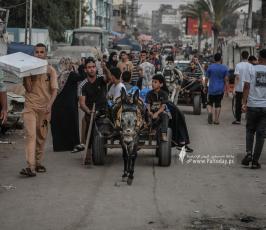 عربات (4)