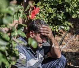 طوفان الأقصى (23)