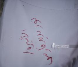 طوفان الاقصى (6)