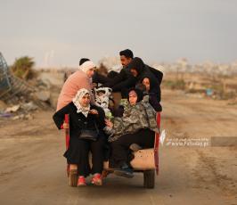 استمرار عودة النازحين (16)