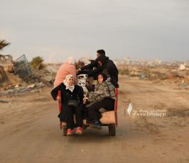 استمرار عودة النازحين (21)