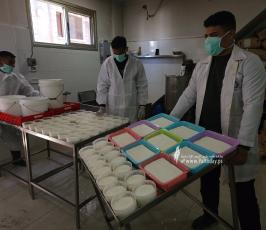 ‏‏صناعة الجبنة البلدية برفح  (3) - نسخة