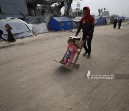صور الحياة اليومية من غرب مدينة غزة للنازحين (13)