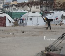 صور الحياة اليومية من غرب مدينة غزة للنازحين (20)