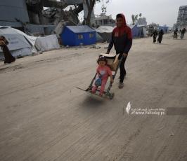 صور الحياة اليومية من غرب مدينة غزة للنازحين (12)