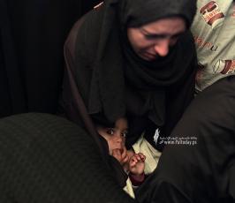 شهداء خانيونس (5)