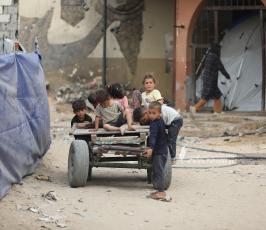 صور الحياة اليومية من غرب مدينة غزة للنازحين (16)