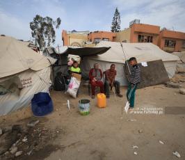 صور الحياة اليومية من غرب مدينة غزة للنازحين (19)