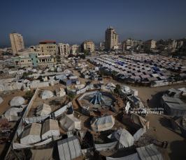 النازحون في  ساحة الكتيبة ومحيط جامعة الأزهر  (16)