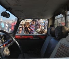 شراء الاضاحى
