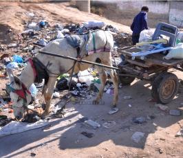 بالصور: كيف تحول مقلب قمامةإلى مصدر رزق الكثير من العائلات في غزة؟