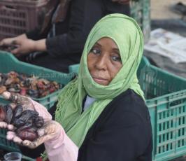 جنى البلح