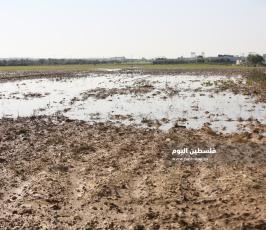 فتح سدود مياه الأمطار على أراضي المواطنين شرق حي الشجاعية (11).JPG
