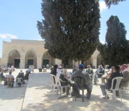 تواجد فلسطينى مكثف في المسجد الاقصى للتصدي للمستوطنين