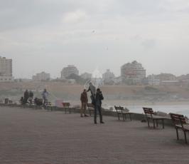 منخفض ‫(29811086)‬ ‫‬