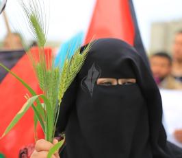  ذكرى يوم الأرض ‫ ‫(29876631)‬ ‫‬