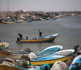صيادو غزة يبحرون رغم الاجواء العاصفة