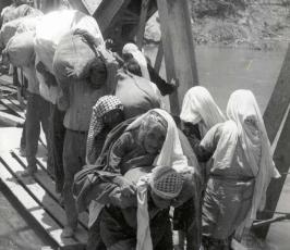 نكبة فلسطين .. ما لا تنساه الذاكرة