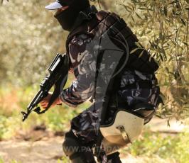 240A8017.jpg