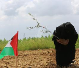  ذكرى يوم الأرض ‫ ‫(29876625)‬ ‫‬