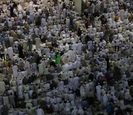  وصول الحجاج من المدينة الى مكة ‫(30597516)‬ ‫‬