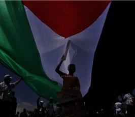 بالصور:بمشاركة جميع الفصائل الفلسطينية أحياء فعالية ذكرى النكبة لـ66