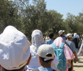 مئات أطفال المخيمات الصيفية يتدفقون على المسجد الأقصى