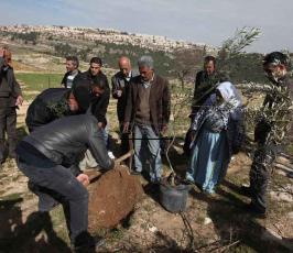 نشطاء فلسطينيون يعودون إلى باب الكرامة شمال غرب القدس المحتلة