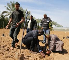 الصليب الاحمر يقوم بتوزيع اشجار اللوزيات شرق وادى السلقا على المزراعي ‫(30073232)‬ ‫‬ ‫‬