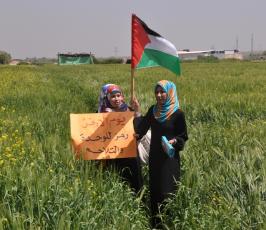 بالصور:في ذكرى يوم الأرض.. غزيون يزرعون الأشجار على الحدود