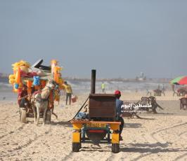شاطئ غزة  (2).JPG
