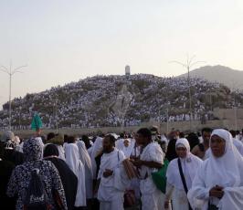 حجاج على جبل عرفات بعد ظهر اليوم لأداء ركن الحج الأعظم  ‫(29745558)‬ ‫‬