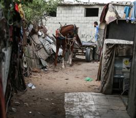 أطفال غزة يلعبون على طريقتهم الخاصة رغم البؤس والفقر والحصار ‫(39518722)‬ ‫‬