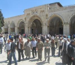 تواجد فلسطينى مكثف في المسجد الاقصى للتصدي للمستوطنين