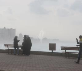 منخفض ‫(29811088)‬ ‫‬