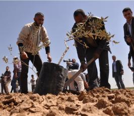بالصور:إصابات بالاختناق في مواجهات مع قوات الاحتلال شرق بيت حانون في ذكرى يوم الأرض
