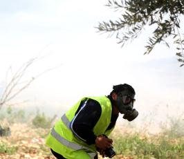 مسيرة بلعين الاسبوعية  ‫(260981950)‬ ‫‬