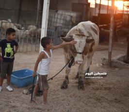 عيد الاضحى ‫(1)‬ ‫‬.jpg