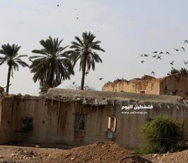 بيوت وحواصل زراعية قديمة (2).jpg